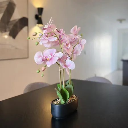 Design Disneyland Paris P1 Apartment